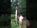 6/20/26. GOOD SATURDAY MORNING BELL RING