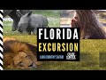 RHINO in FLORIDA?! | Lion Country Safari with Cruise Control