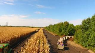 2016 Fall Fun Farm