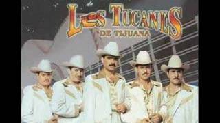 Watch Los Tucanes De Tijuana El Codo video