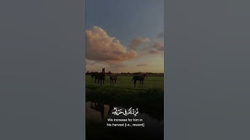 الله لطيف بعباده /القارئ اسلام صبحي