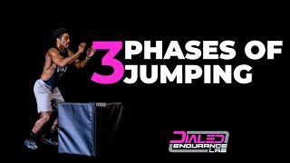 3 Phases of Jumping