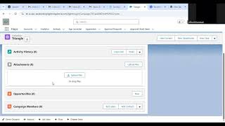 Campaign Report salesforce screenshot 2