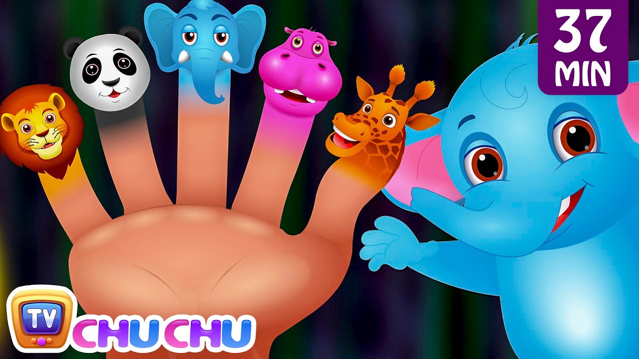 bbe คือ  Update 2022  Finger Family Nursery Rhymes | Animal Finger Family Songs Collection | Learn Wild Animals | ChuChuTV