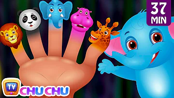 Finger Family Nursery Rhymes Animal Finger Family Songs Collection Learn Wild Animals ChuChuTV 