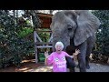 You Won't Believe What Happened When Grandma Went On Safari | Ross Smith