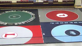 Region IV 6A Girls Wrestling first round ans quarterfinals