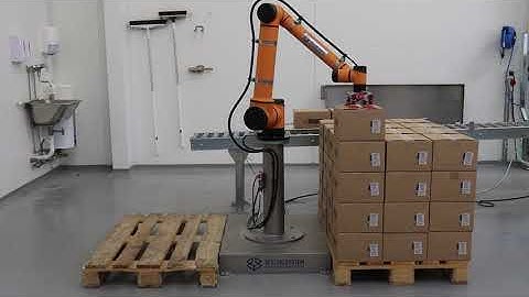 Cobot palletizing solution - Biogan