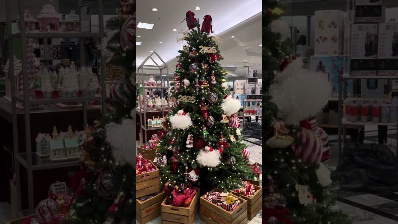 Dillards 2025 elegant, beautiful Christmas decorations, new winter clothing 