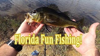 Florida Fun Fishing!