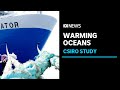 CSIRO wraps up weeks-long voyage studying impacts of warming East Australian Current | ABC News