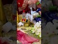 عرس عنابي وينكم يالعنابيات زينات 
