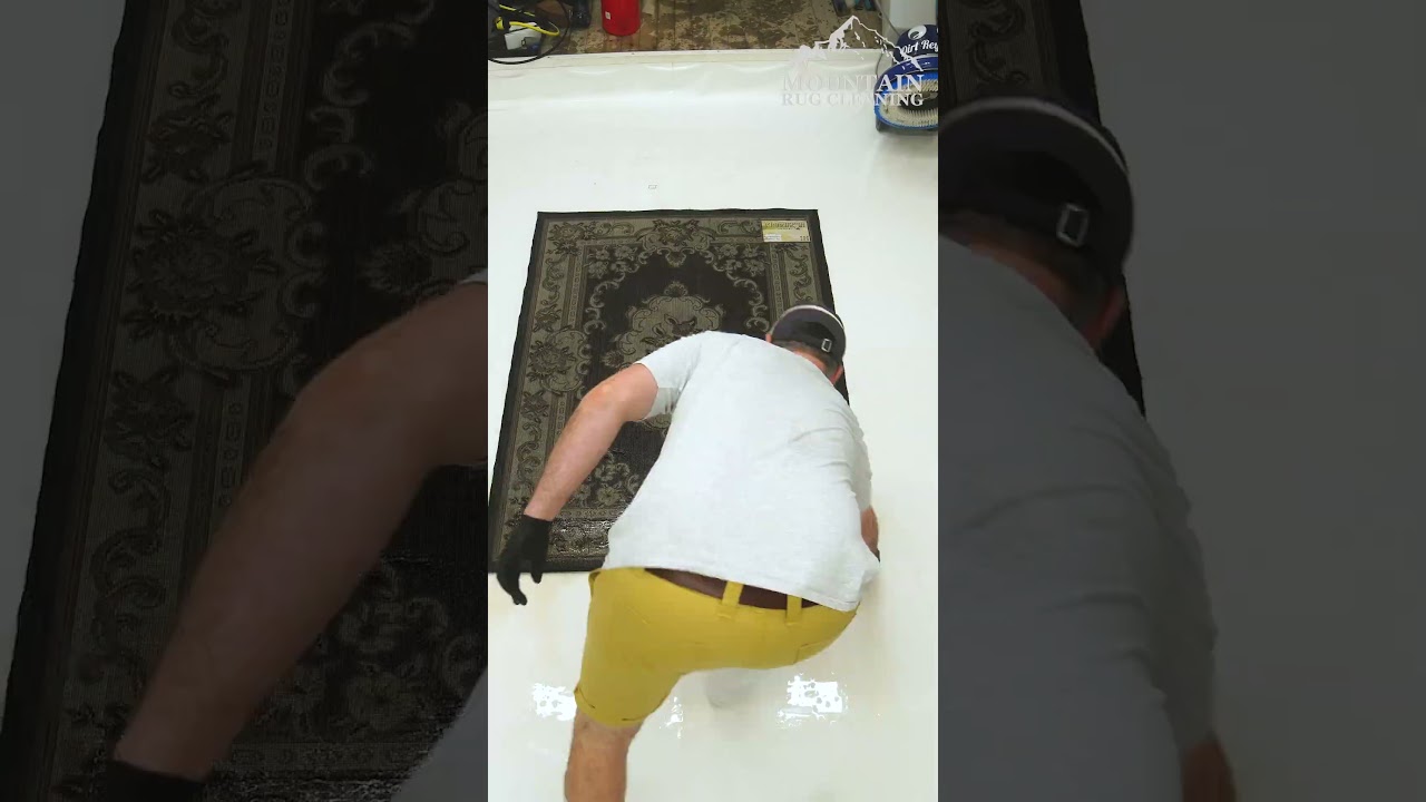 Powerful URINE Smell From This Soaked & Discarded Rug! Do You Think I Can Save This One? 