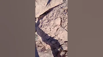 لحظة اكتشاف القدم تثبيت لخبيئة تكنيزية 