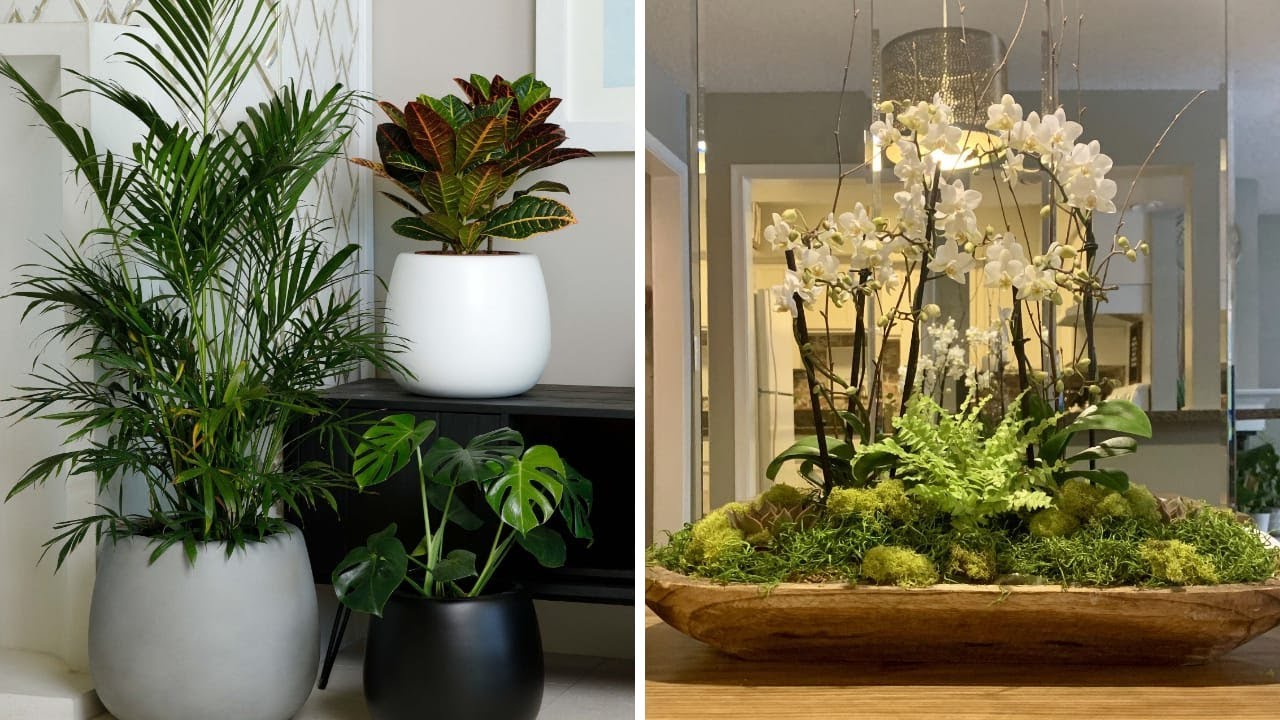 Top Modern Indoor Plants Decoration Ideas Indoor Garden Designs