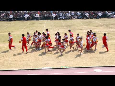 100級藥學啦啦隊 四五嘉藥 百年榮耀