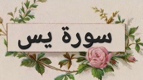 🌺سورة يس 🌺بدون حقوق طبع