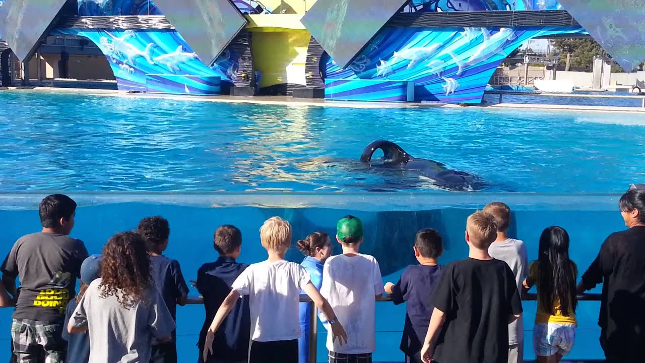 Getting soaked by shamu at seaworld 2013