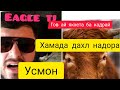 Усмон! ЯХЕЛОТ АЙ ГОВ ДА ПАСТЕН.🐄2019