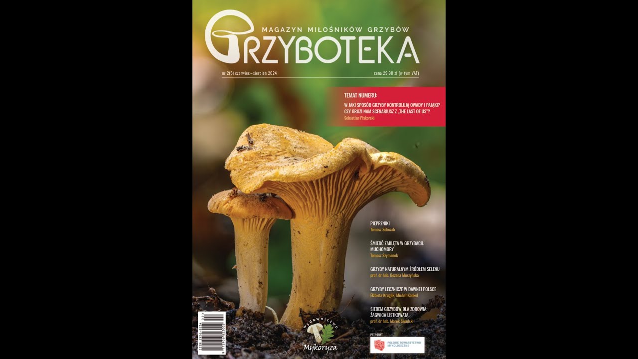 Grzyboteka nr 2(5) - co w numerze?