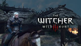 Aku adalah Geralt of Rivia | The Witcher 3: Wild Hunt #2