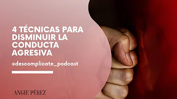 ¿Cuáles son las 4 formas de conducción agresiva?