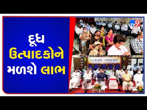 Panchamrut dairy hikes Milk procurement price by Rs 10 /kg fat, Panchmahal | Tv9GujaratiNews