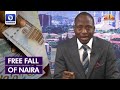 Halting the free fall of naira depends on these factors  economist