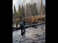 #рыбалка #fishing #природа #nature #охота #рыба #щука #fish #река #спиннинг