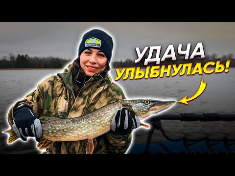 Видео: РЫБАЛКА//КАБАН В ШАМПАНСКОМ//ЩУКА НА ГРИЛЕ//ЛЮТЫЕ ПОХОДНИКИ ЗАКРЫЛИ СЕЗОН.