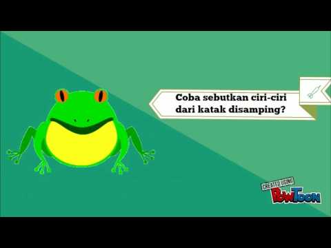 Gambar Katak Berkembang Biak Kata Mutiara