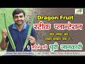 Dragon fruit Stick Plantation Benifit All information