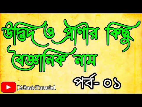 ভিডিও: জাপানি অ্যানিমোন (49 টি ছবি): খোলা মাঠে রোপণ এবং যত্ন, একটি বহুবর্ষজীবী ভেষজ জাপানি বা শরৎ অ্যানিমোনের বর্ণনা