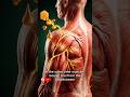 What Happens Inside Your Body When You Eat Honey?