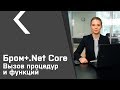 Бром-клиент для .Net Core (урок №2). Вызов процедур и функций