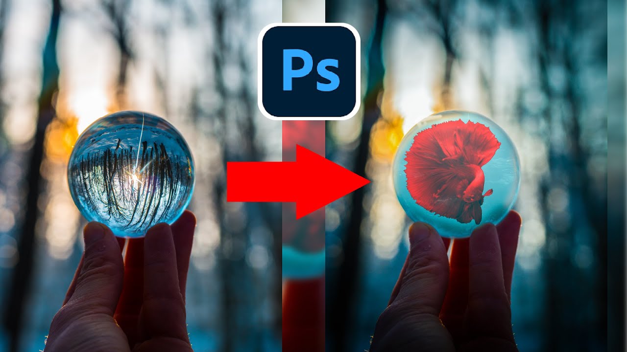 Metaimage - photoshop