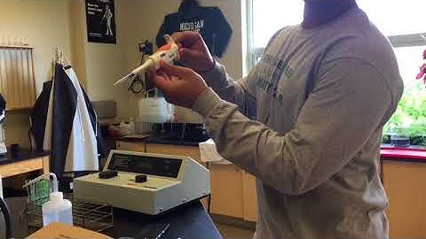 Colorimetry Lab - Lab Set-Up