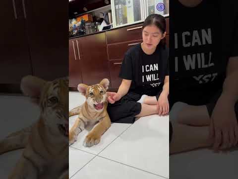 Man adopted a