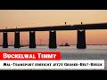 Buckelwal Timmy unterquert Große-Belt-Brücke in Dänemark