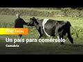 Un país para comérselo - Cantabria | RTVE Cocina