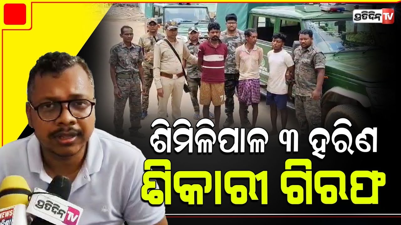 ଶିମିଳିପାଳରୁ ୩ ହରିଣ ଶିକାରକୁ ଧରିଲେ ବନ ବିଭାଗ କର୍ମଚାରୀ । Mayurbhanj