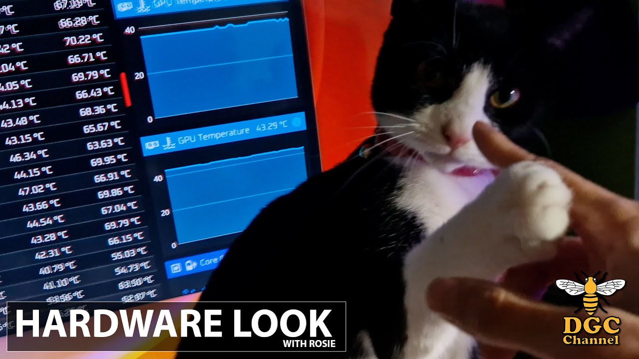 DGC Hardware: 9950X3D & ASUS RADEON RX9070 OC