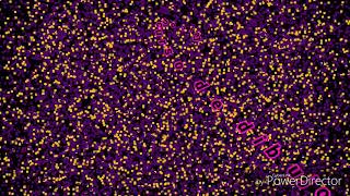 Anuncio muy importante 😉