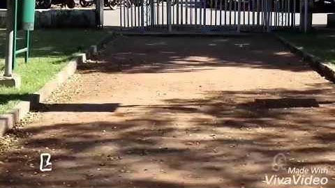 Lang Laibrary Rajkot - IPSA, RAJKOT.