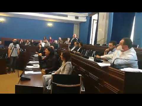 ევროპასთან ინტეგრაციის კომიტეტის სხდომა ხმაურით მიმდინარეობს