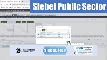 Course Introduction: Siebel Public Sector