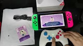 IINE Pro Controller first look and comparison