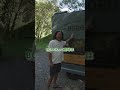 昇降式の軽トラキャンピングカー？！ #キャンピングカー #バンライフ #車中泊