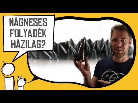 Videó: Hogyan Készítsünk Mágneses Folyadékot