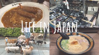 Life in Japan | going out with friends and spending time with family  | Tokyo Vlogs